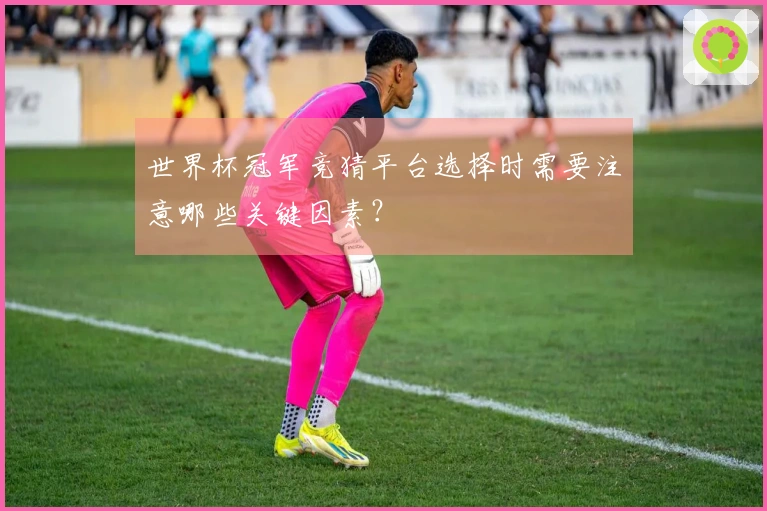 世界杯冠军竞猜平台选择时需要注意哪些关键因素？