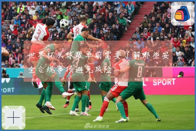 世界杯买球跟单前需要了解哪些安全合规事项避免风险